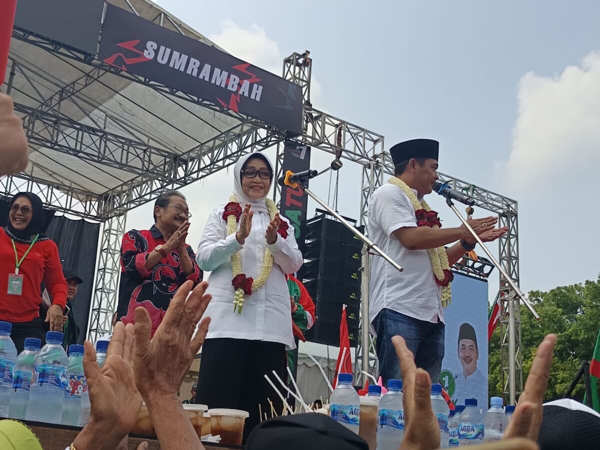 WhatsApp Image 2024 11 29 at 3.00.50 PM