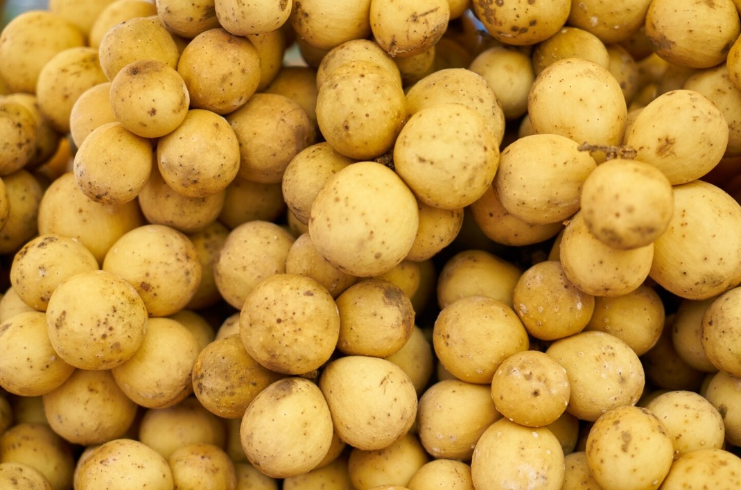 WhatsApp Image 2024 11 29 at 3.52.40 PM