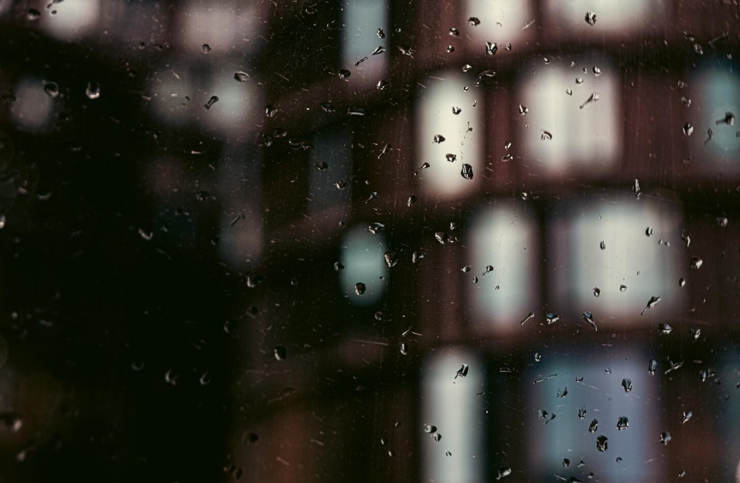 WhatsApp Image 2024 11 29 at 8.43.38 AM