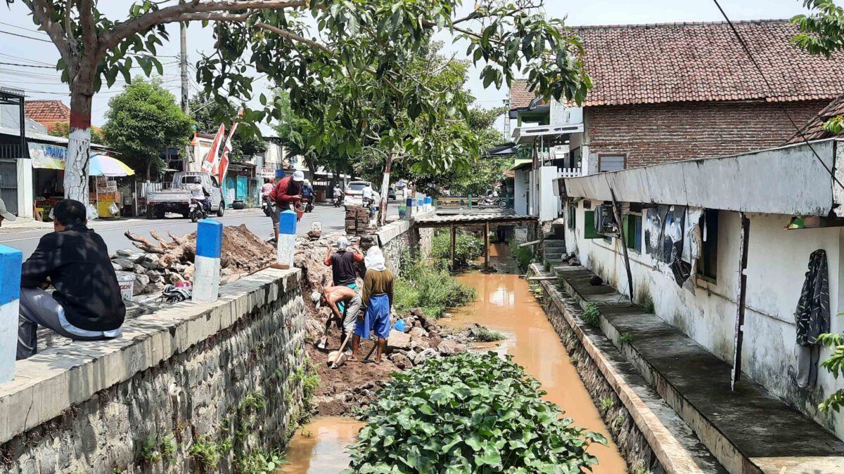 IMG 20241206 WA0003 11zon 1 scaled