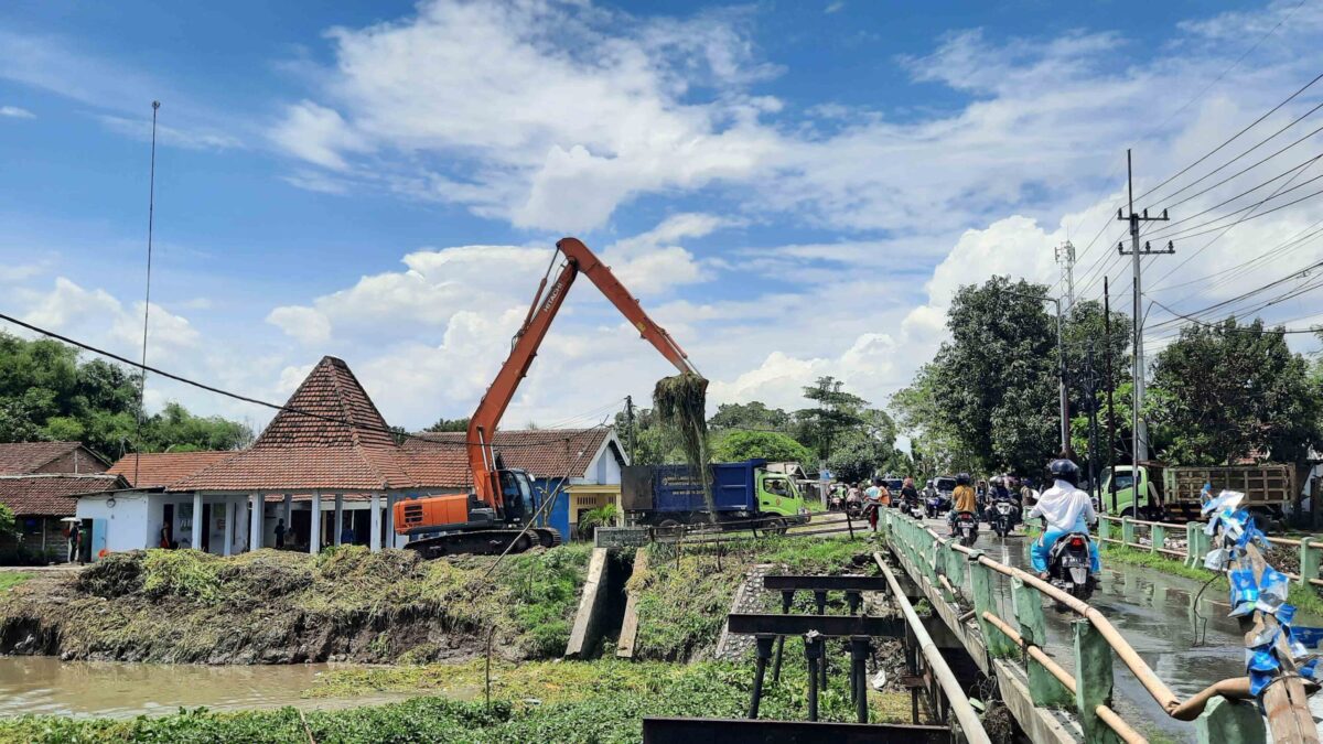 IMG 20241210 WA0047 11zon scaled