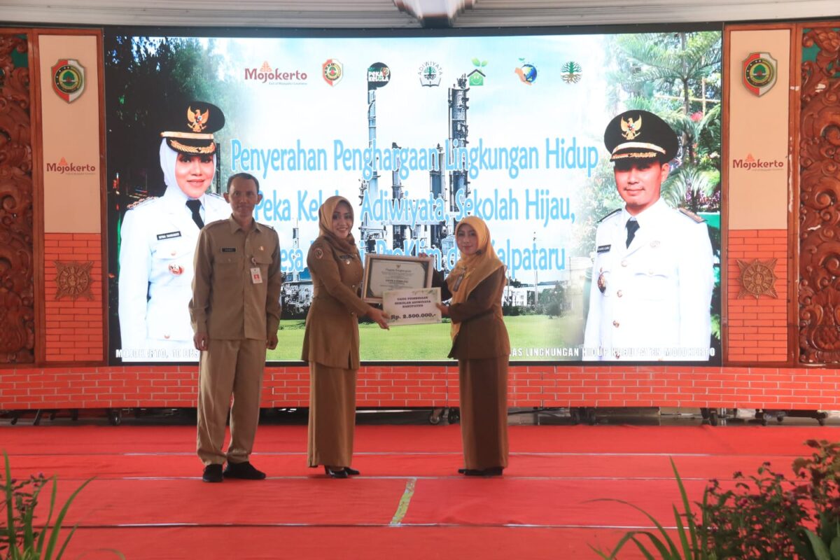 IMG 20241210 WA0056 1 IMG 20241210 WA0056