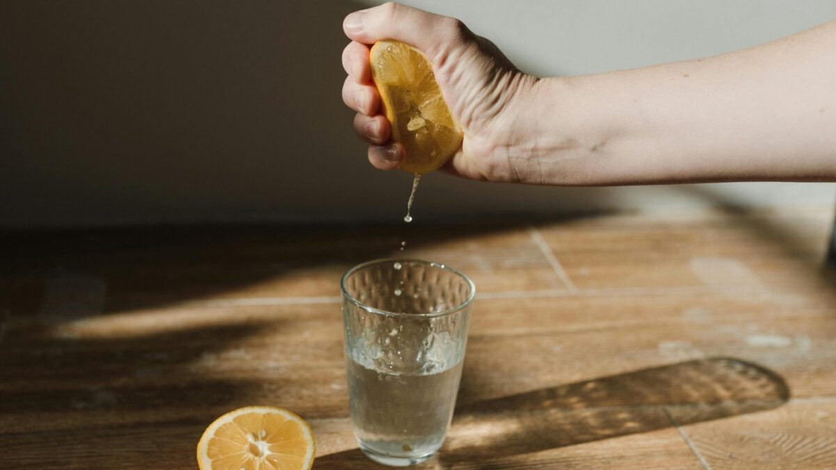 IMG 20241211 WA0016 scaled