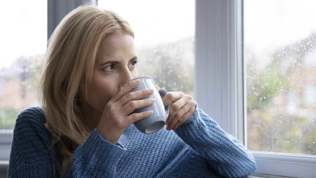 IMG 20241212 WA0004 11zon scaled