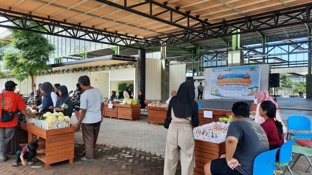 IMG 20241218 WA0019 11zon scaled