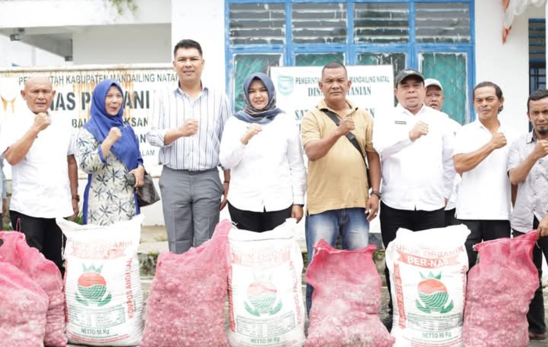 Screenshot 20241205 071611