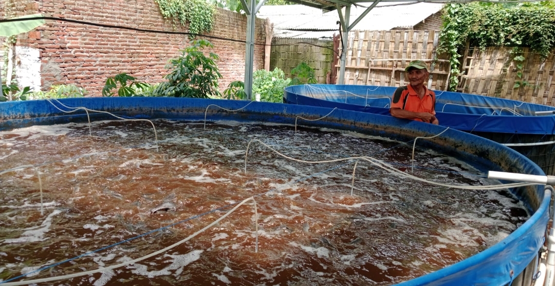 Screenshot 20241209 115051