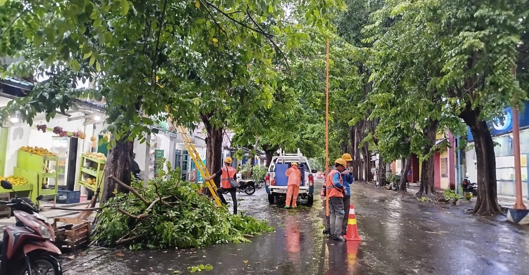 Screenshot 20241211 184359