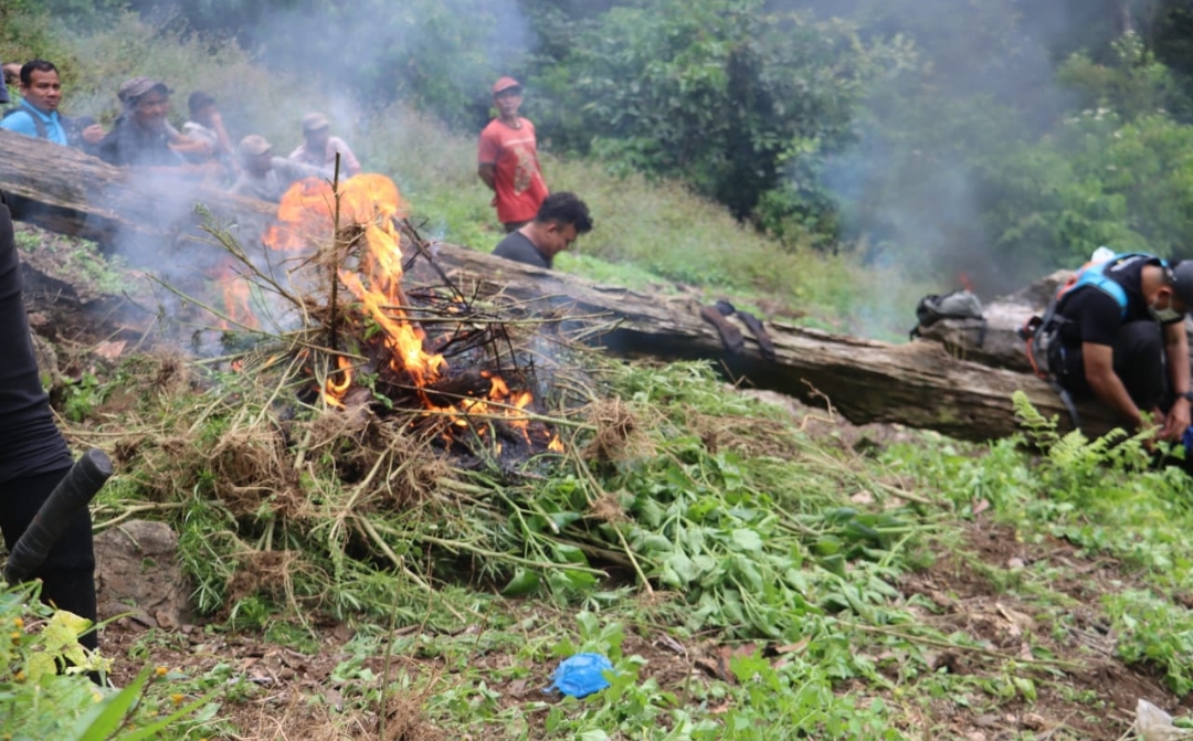 Screenshot 20241212 061647