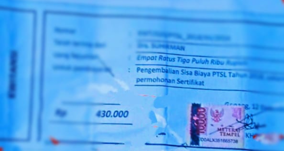 Screenshot 20241215 085301