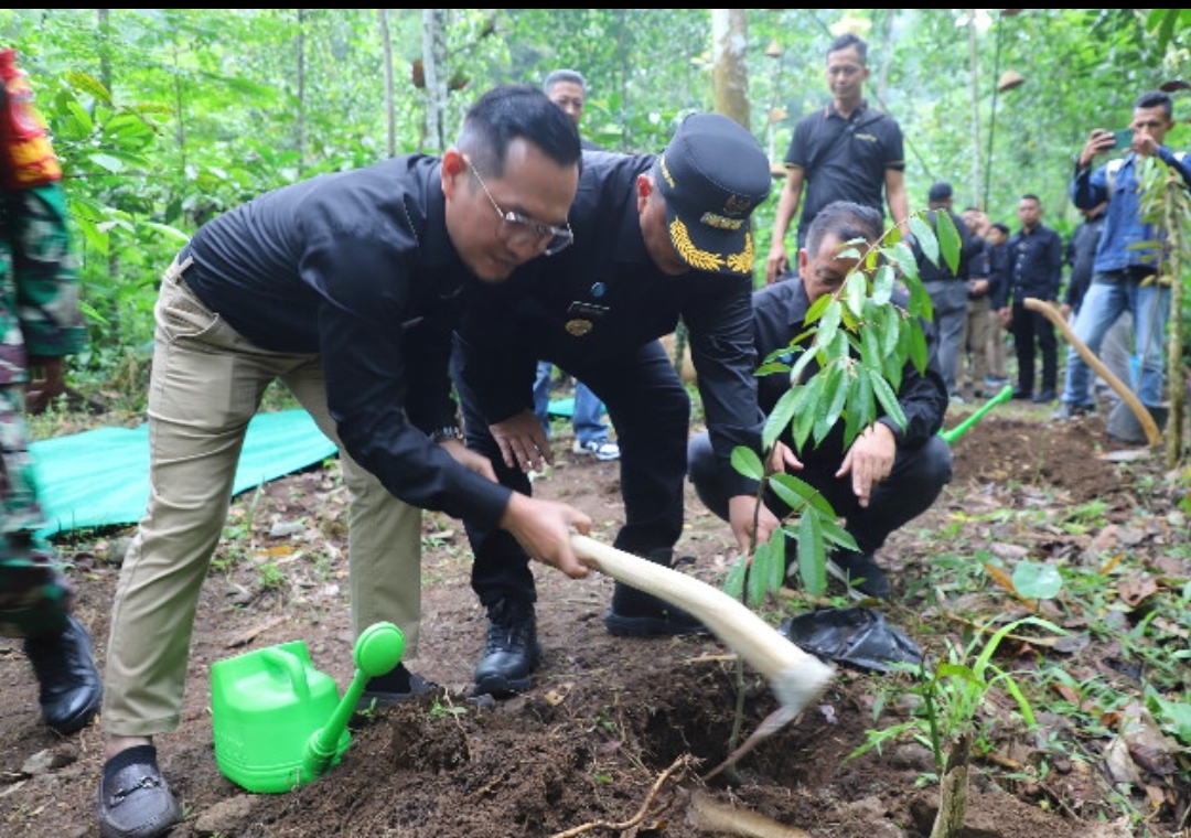 Screenshot 20241222 172938