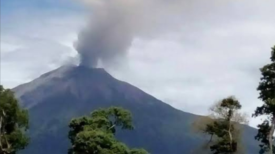 Screenshot 20241223 115130 Google