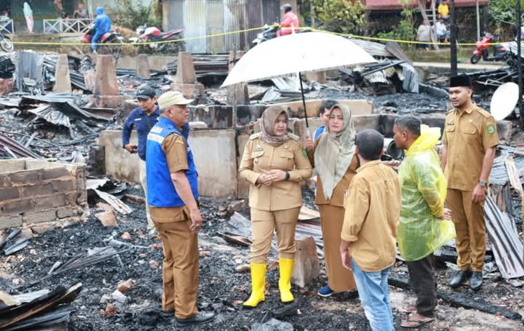 Screenshot 20241224 073409