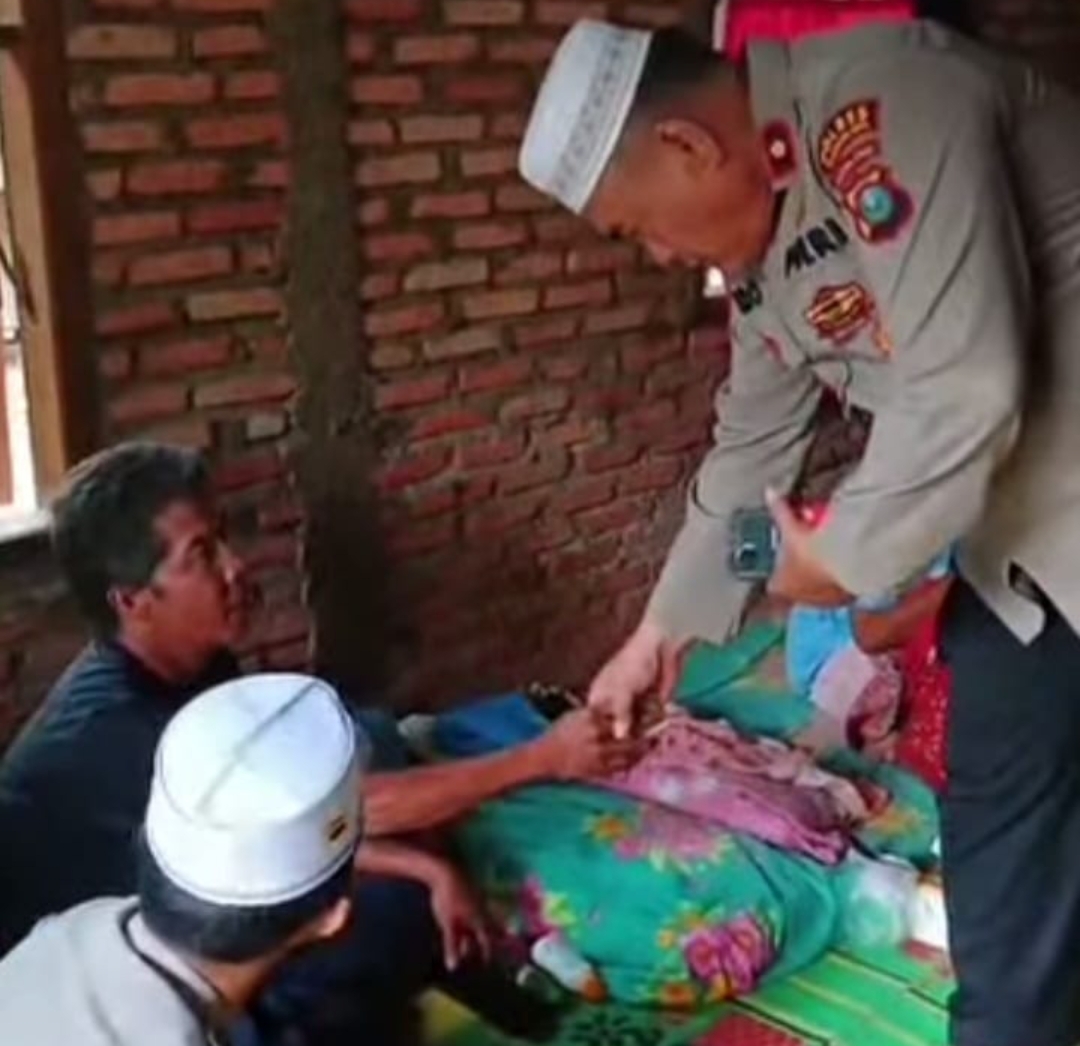 Screenshot 20241225 075627