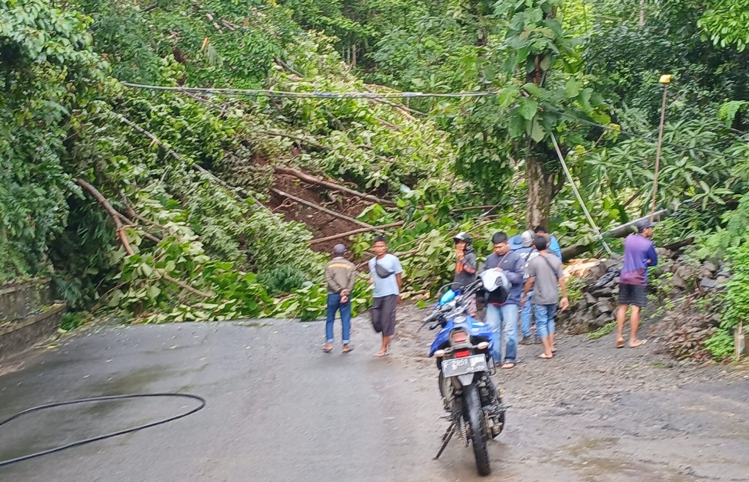 Screenshot 20241226 101143