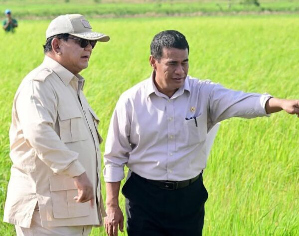 Indonesia Tak Perlu Impor Beras Lagi, Begini Kata Presiden Prabowo