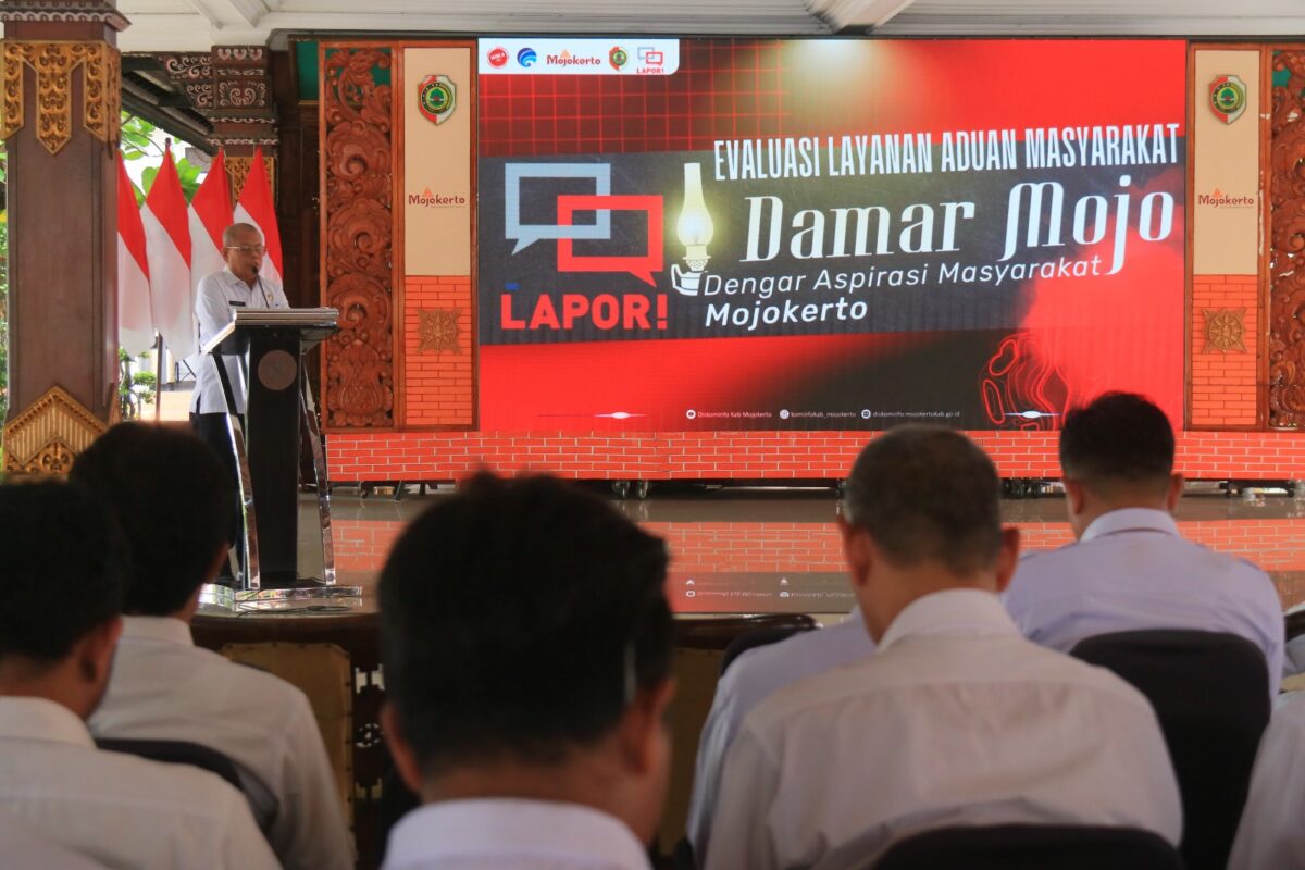 WhatsApp Image 2024 12 04 at 18.16.24