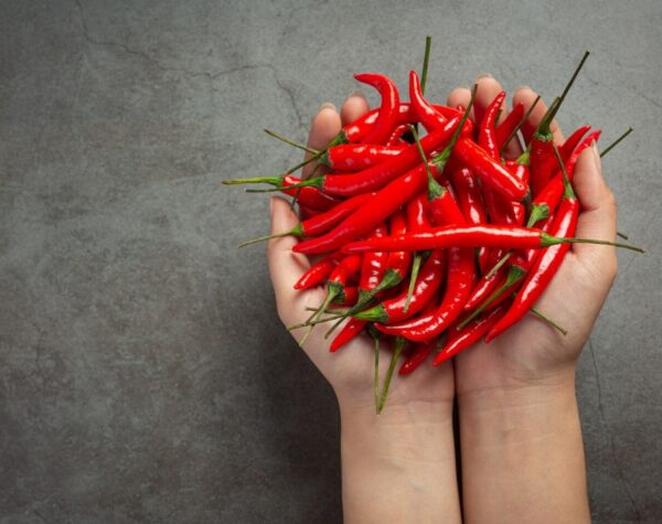 Harga Cabai Merah Naik 12 Persen! Simak Rincian Bahan Pokok Hari Ini