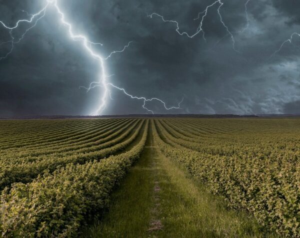 Kabupaten Mojokerto Waspada Hujan Petir, Ini Prakiraan Cuaca 25-26 Februari 2025