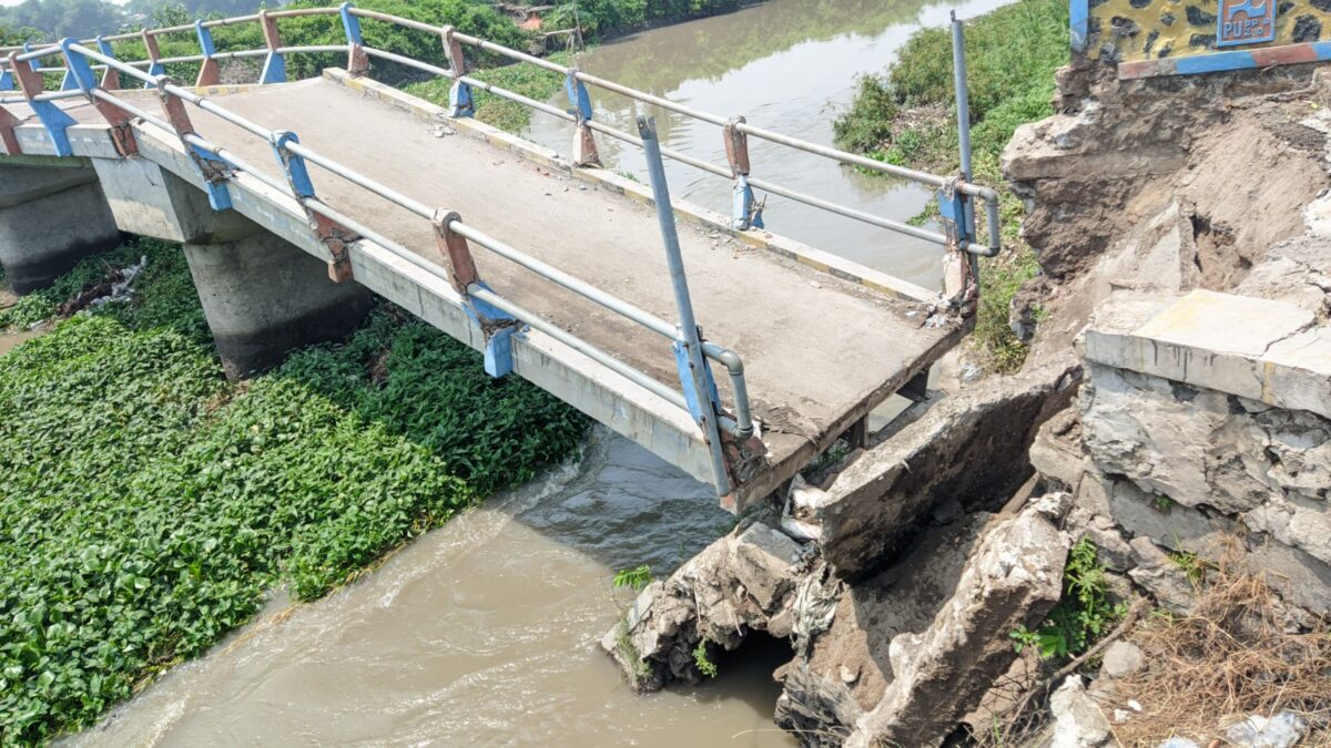 WhatsApp Image 2024 12 06 at 9.19.07 AM 1