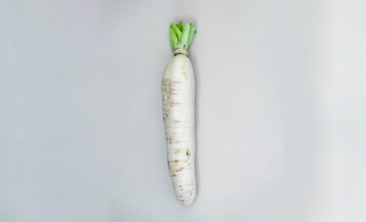 WhatsApp Image 2024 12 07 at 11.42.03 AM