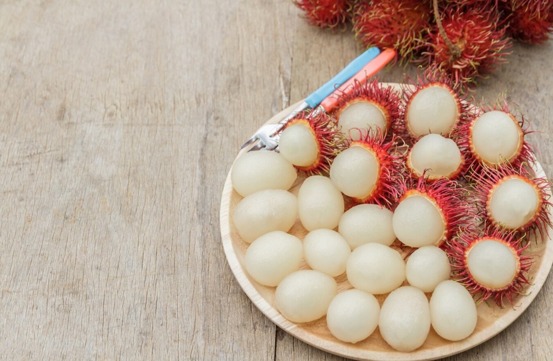 WhatsApp Image 2024 12 10 at 4.37.48 PM