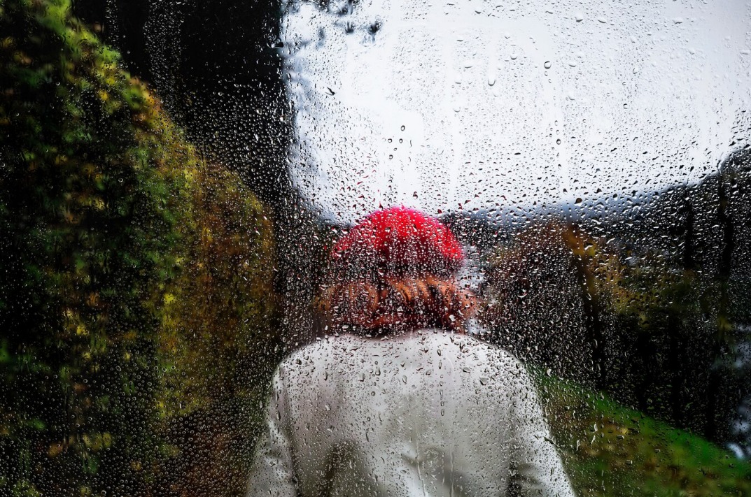 WhatsApp Image 2024 12 10 at 8.59.56 AM 1 WhatsApp Image 2024 12 10 at 8.59.56 AM