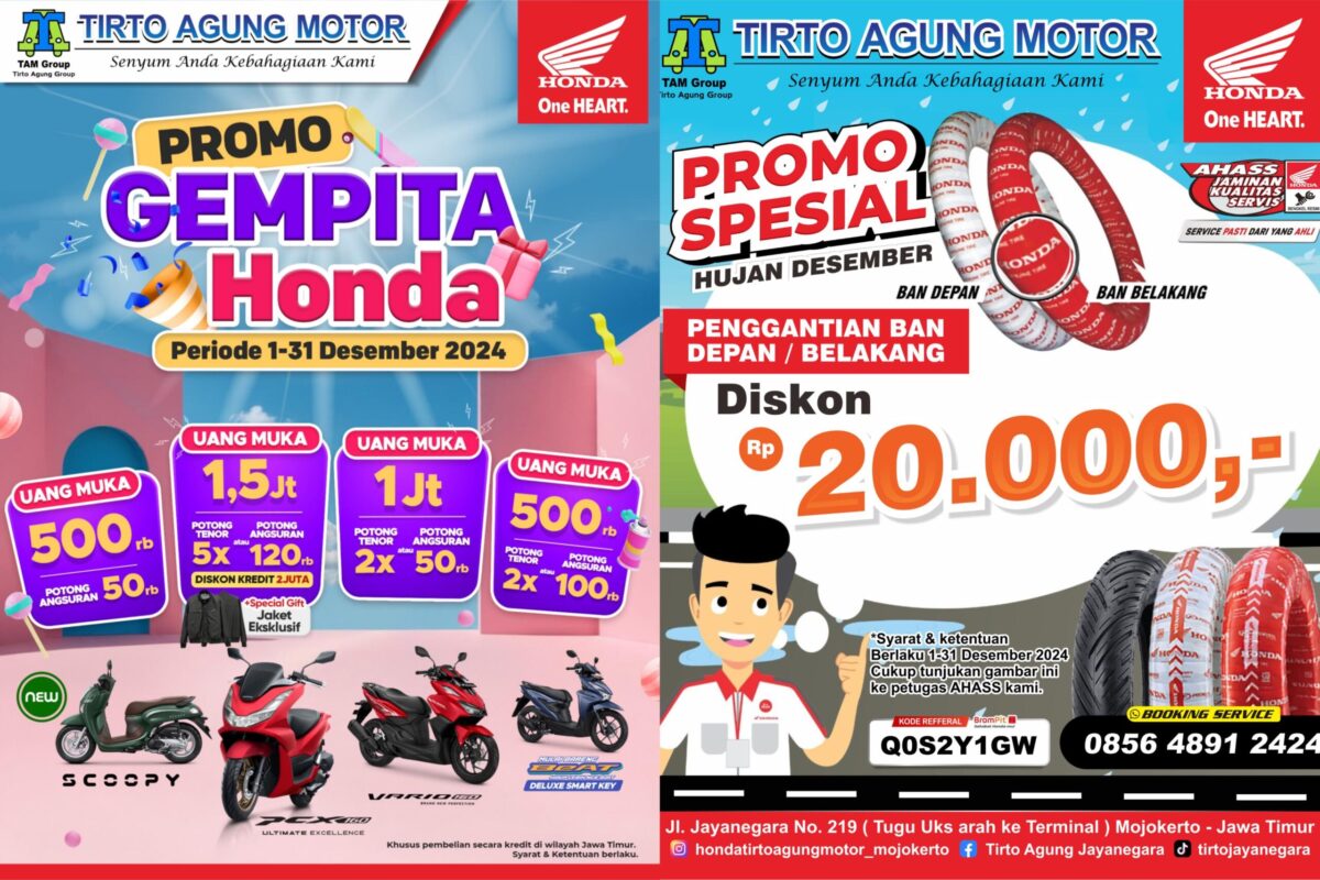 WhatsApp Image 2024 12 11 at 2.59.59 PM scaled