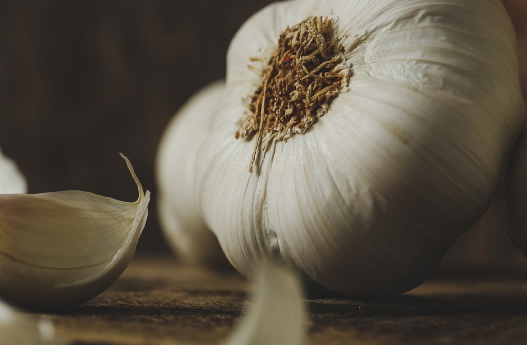 WhatsApp Image 2024 12 11 at 4.07.05 PM