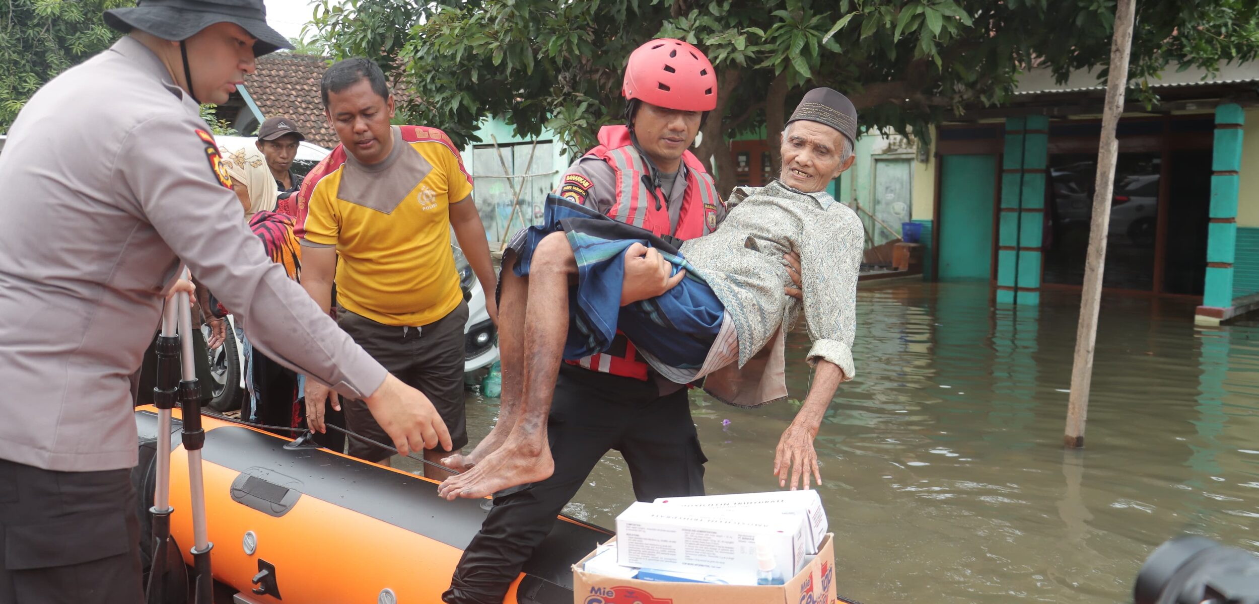 WhatsApp Image 2024 12 12 at 3.52.38 PM