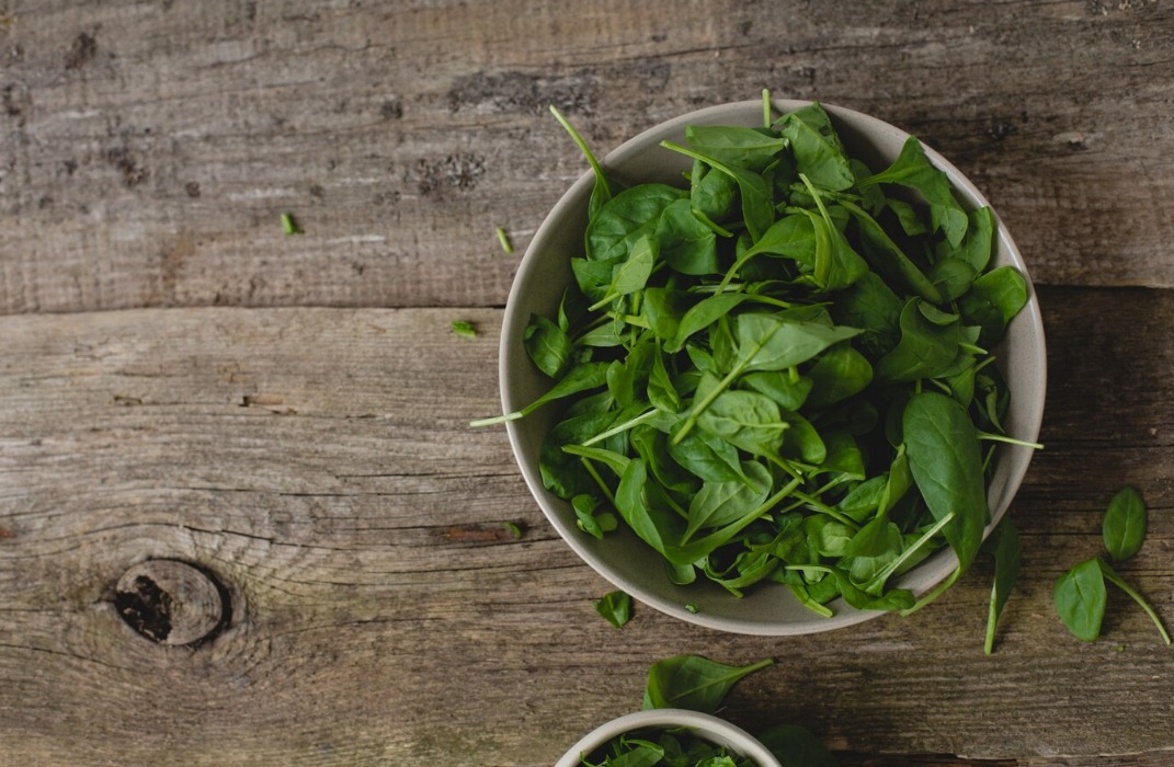 WhatsApp Image 2024 12 13 at 2.36.16 PM