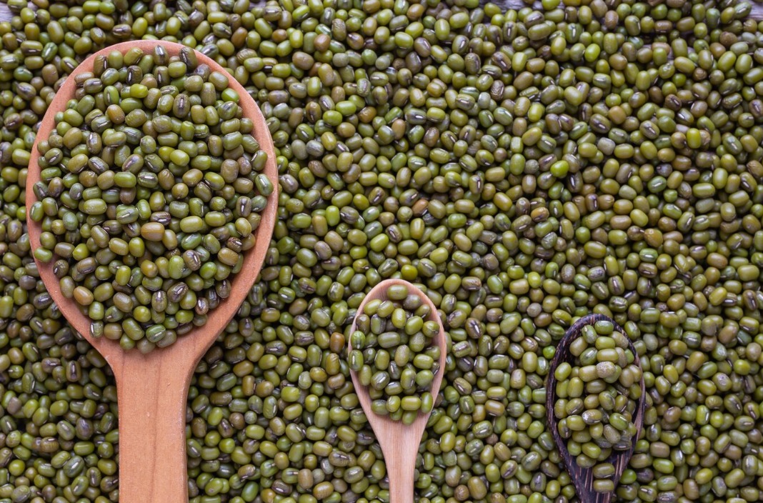 Perkembangan Data Kacang Hijau per Kilogram di Jawa Timur, Dijual Rp 25.000