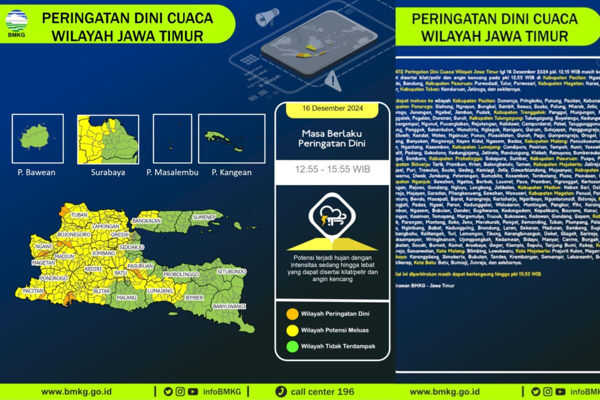 WhatsApp Image 2024 12 16 at 2.09.36 PM scaled