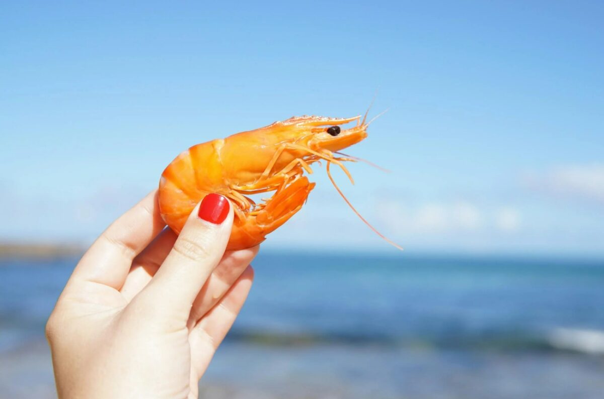 WhatsApp Image 2024 12 20 at 3.27.25 PM