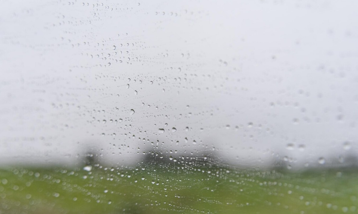 WhatsApp Image 2024 12 23 at 8.48.07 AM