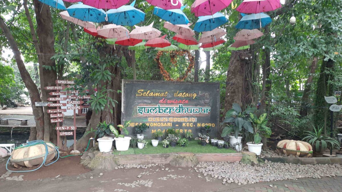 20250110 122158 11zon scaled