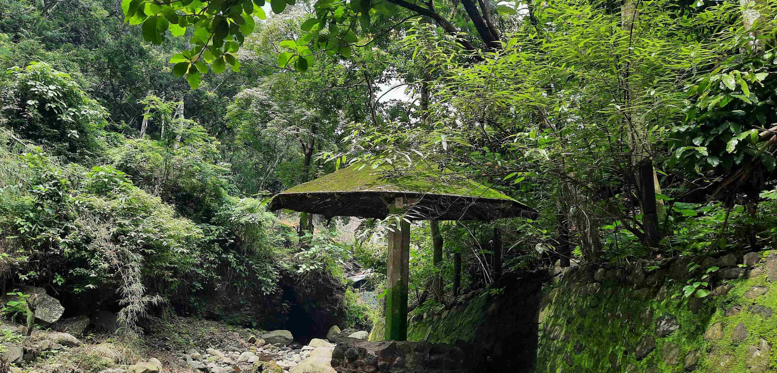 20250111 115623 11zon