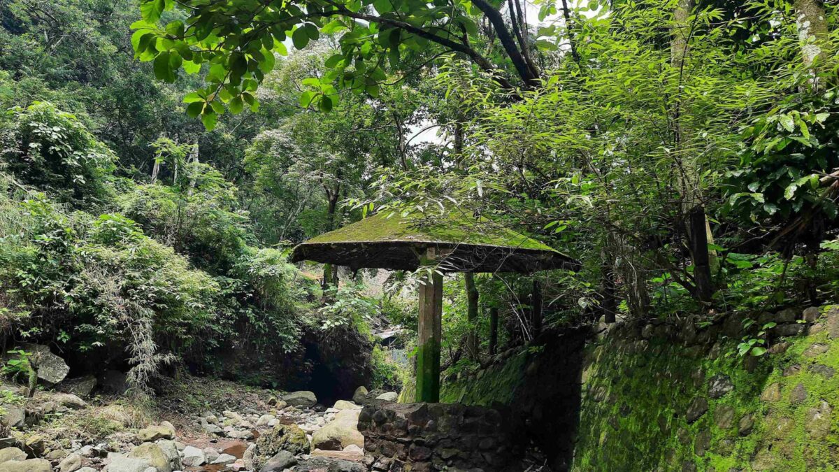 20250111 115623 11zon scaled