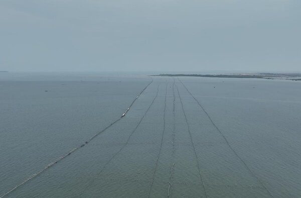 Terungkap! Pagar Laut di Tangerang Dibangun Warga Setempat untuk Lindungi Wilayah Pesisir