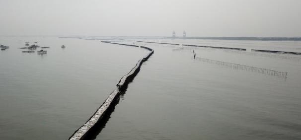 Pengembang PIK 2 dan Agung Sedayu Group Bantah Keterlibatan Pagar Laut di Pesisir Tangerang