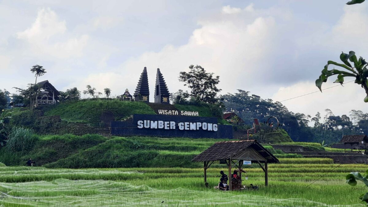 20250116 162940 11zon scaled