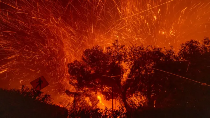 382513cc 20ee 4170 a68f 67b6a3fe116b.jpg