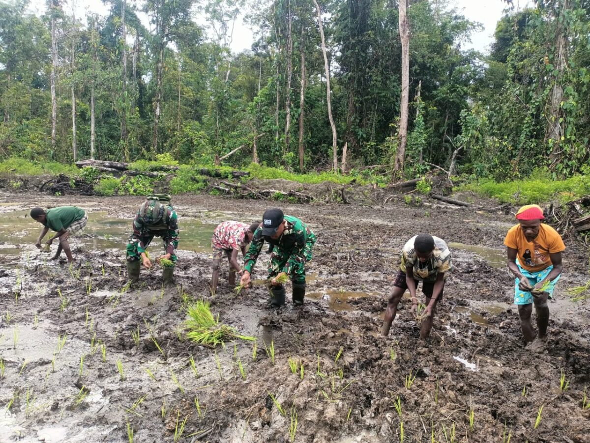 53B380E0 517D 44AA ADEC 98A0B88A458D