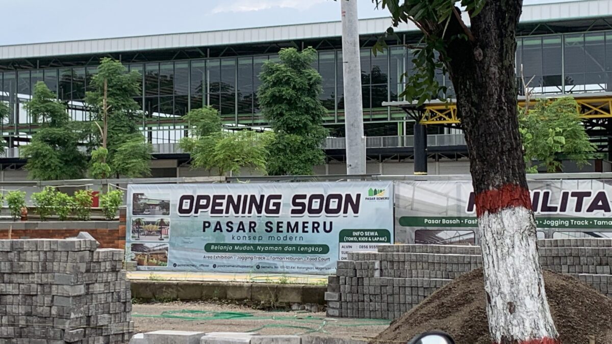 604F1F50 561D 41CF 819F 3B37FF249A5B scaled