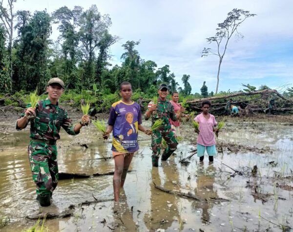 Ketahanan Pangan Satgas Yonif 503/Mayangkara, Upaya Bangun Kesejahteraan Masyarakat Papua