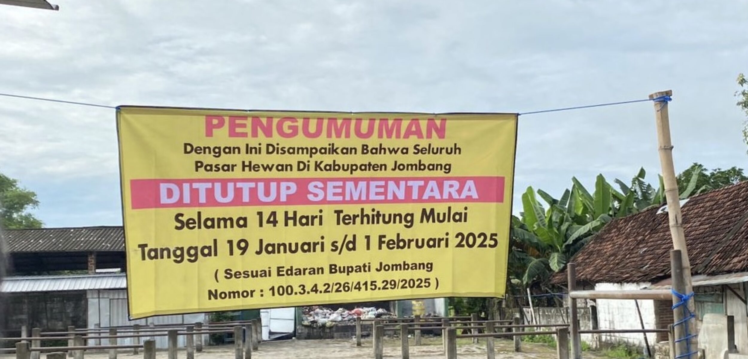 B9855C9D 0802 4C86 8971 3CD5D783B24C