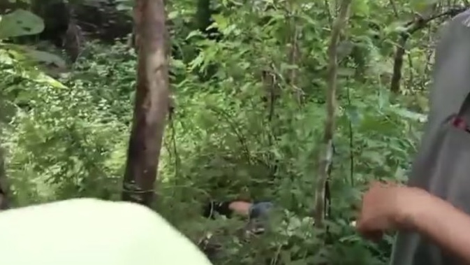 E5638645 23FC 4859 8922 7E6E9B09EEF1