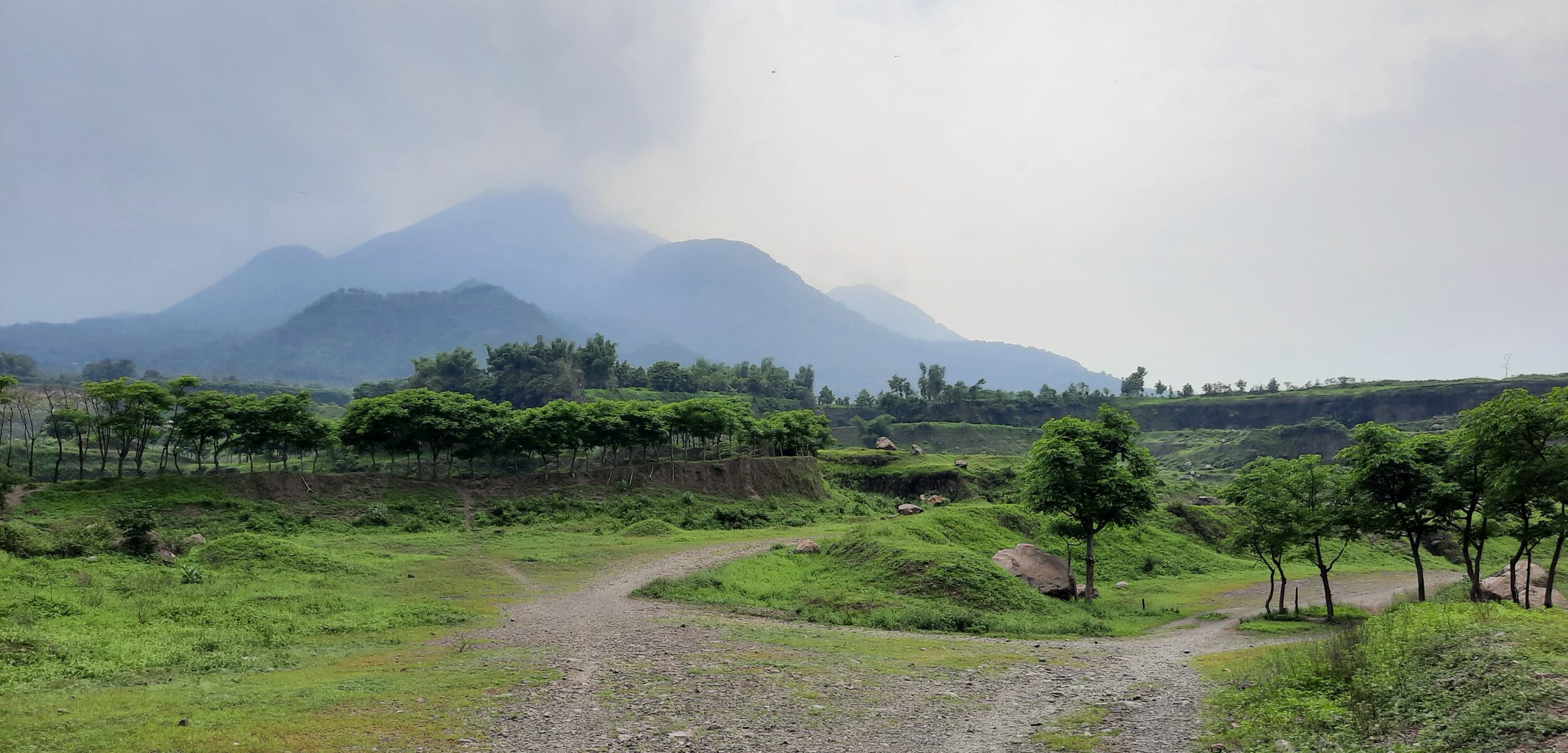 IMG 20250110 WA0062 1