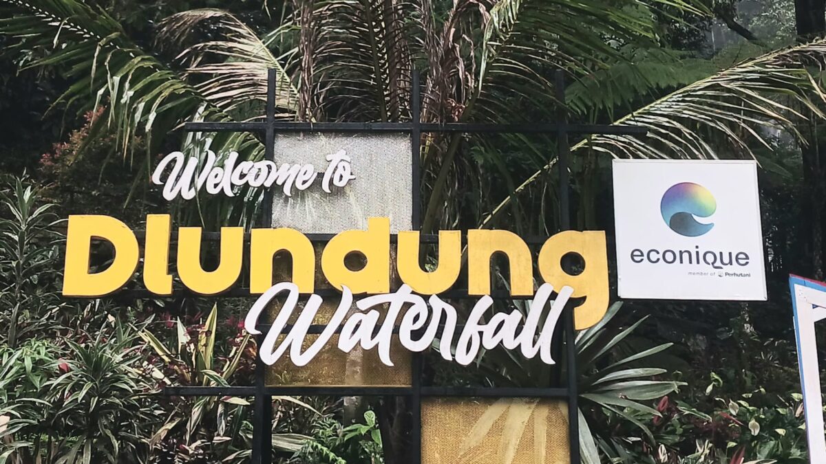 IMG 20250112 WA0008 scaled