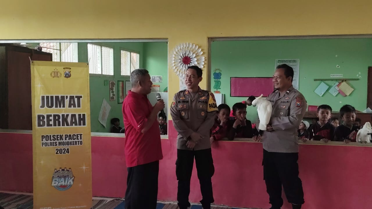 IMG 20250117 WA0041 1